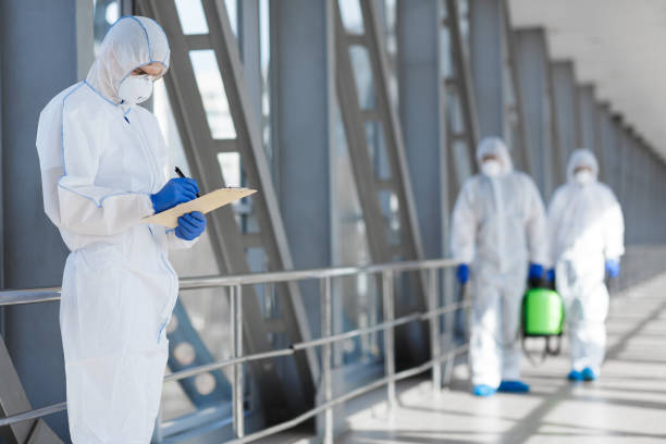 Best Mold-Related Health Consultation  in Bulverde, TX
