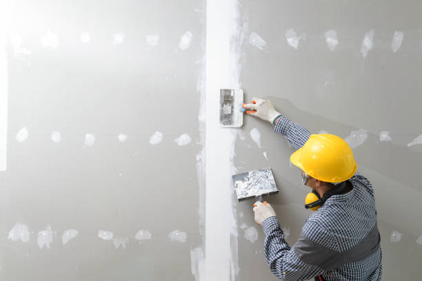 Best Residential Mold Inspection & Testing  in Bulverde, TX