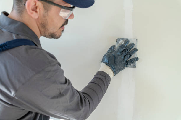 Best Black Mold Removal  in Bulverde, TX