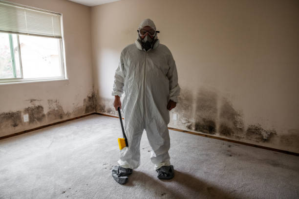 Mold Remediation for Rental Properties in Bulverde, TX